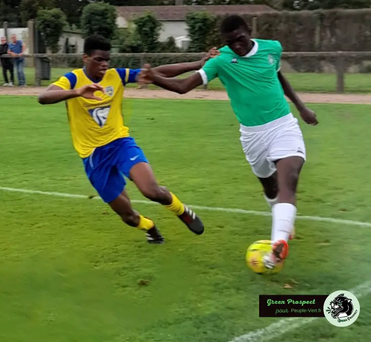 Formation : Les U18 font plier leur dauphin !
