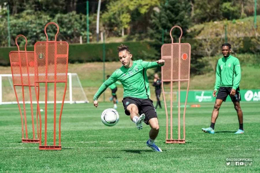 Formation N3 : les verts en démonstration !