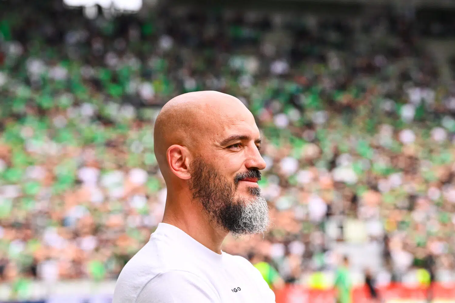 ASSE : "Il n'y a plus autant d'effervescence dans notre vie."