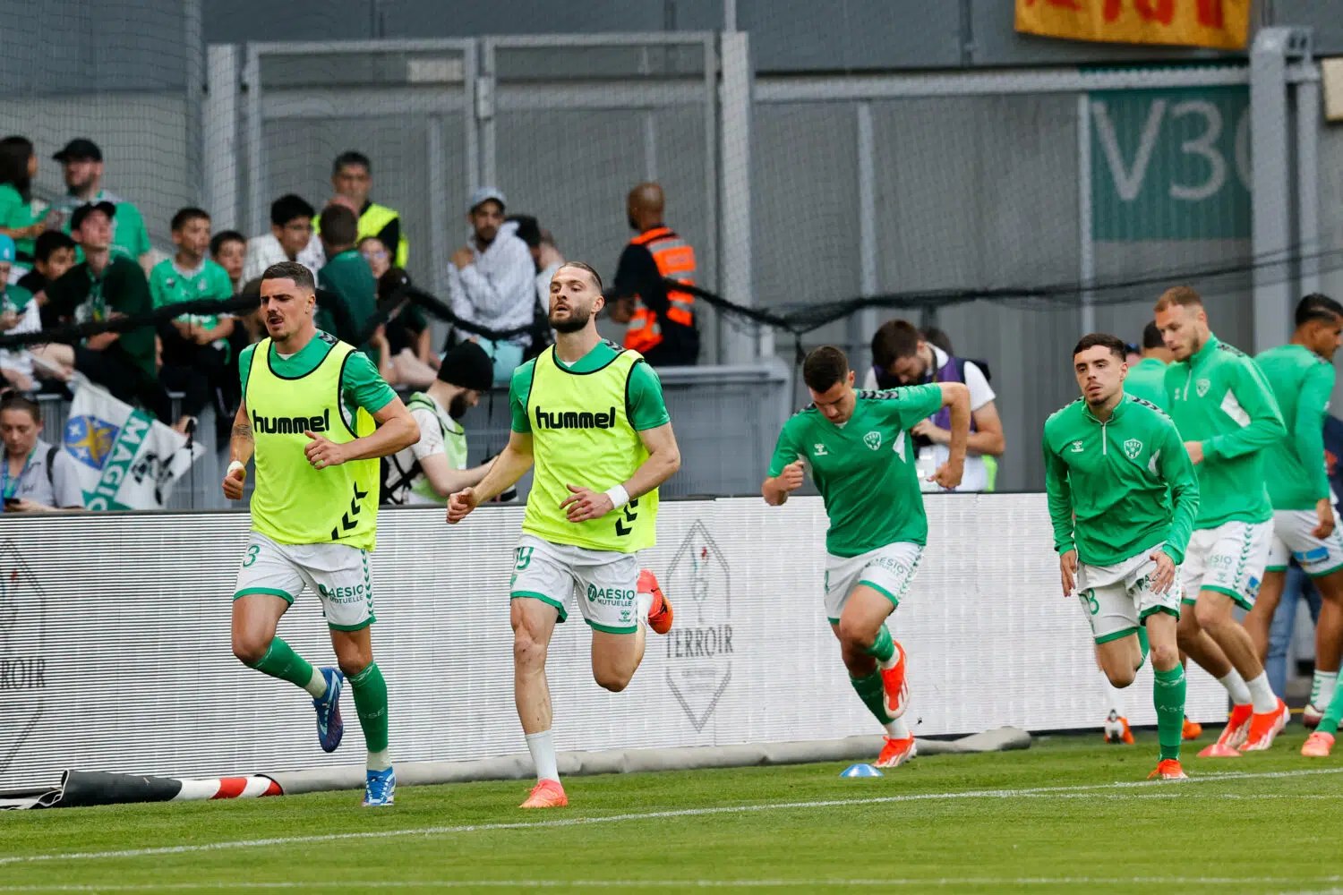 Des Verts fatigués ou paralysés ?