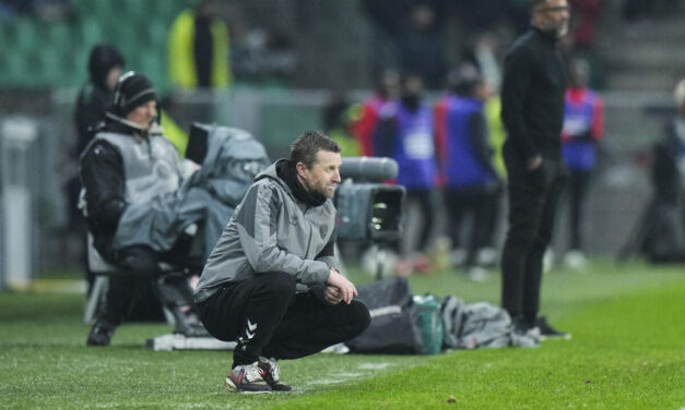 ASSE : De nouveaux renforts de poids pour Horneland !
