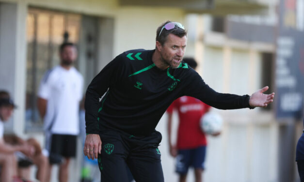 Mercato : 5 lat&eacute;raux pour l'ASSE&nbsp;!