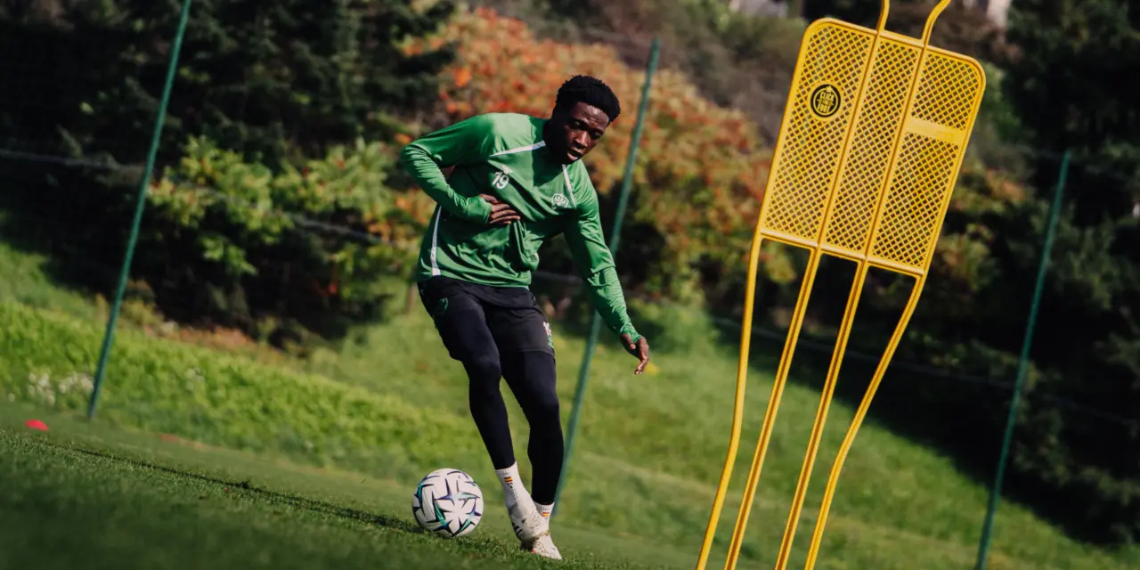 Ghana battu, Annan encore écarté