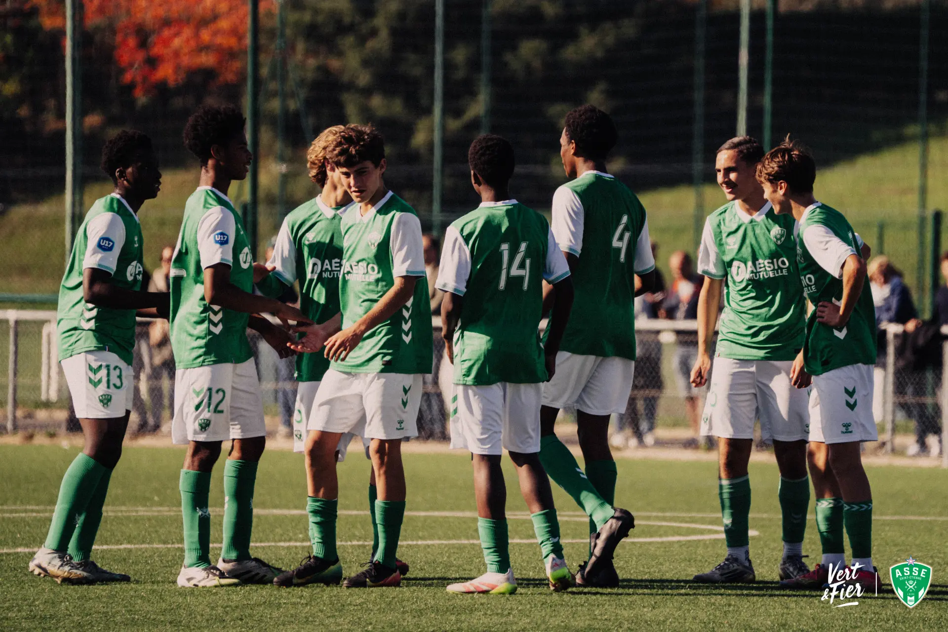 ASSE : Les Verts tombent de haut