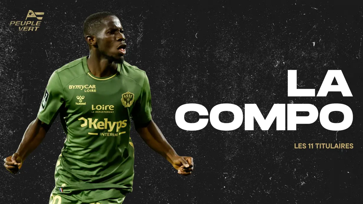 ASSE : la composition des Verts à Grenoble vient de tomber