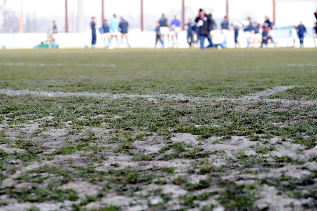 Peuple Vert soutient le FC Priay, petit club de l’Ain