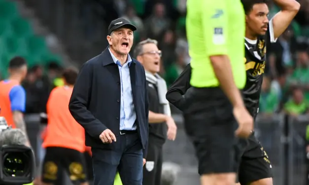 Davitashvili, Stassin, blessures... Montanier se livre avant le playoff