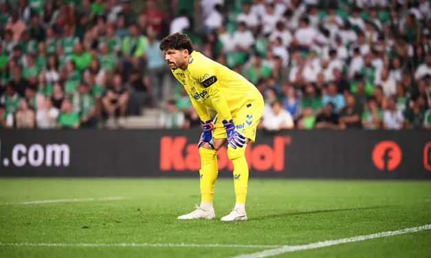 Nice-ASSE : Les r&eacute;actions &agrave; chaud des joueurs !