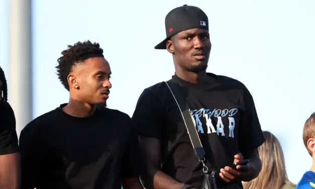 ASSE : Ballo et Ndiaye arrivent, Davitashvili s'&eacute;loigne